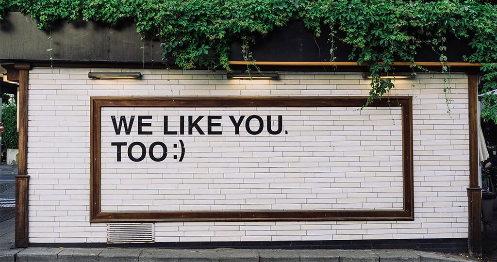 like you baja